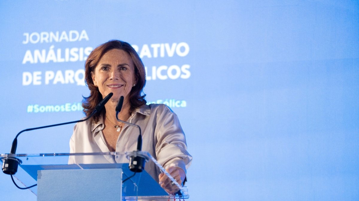 La eólica pide un marco regulatorio con interpretaciones "únicas y coherentes"
