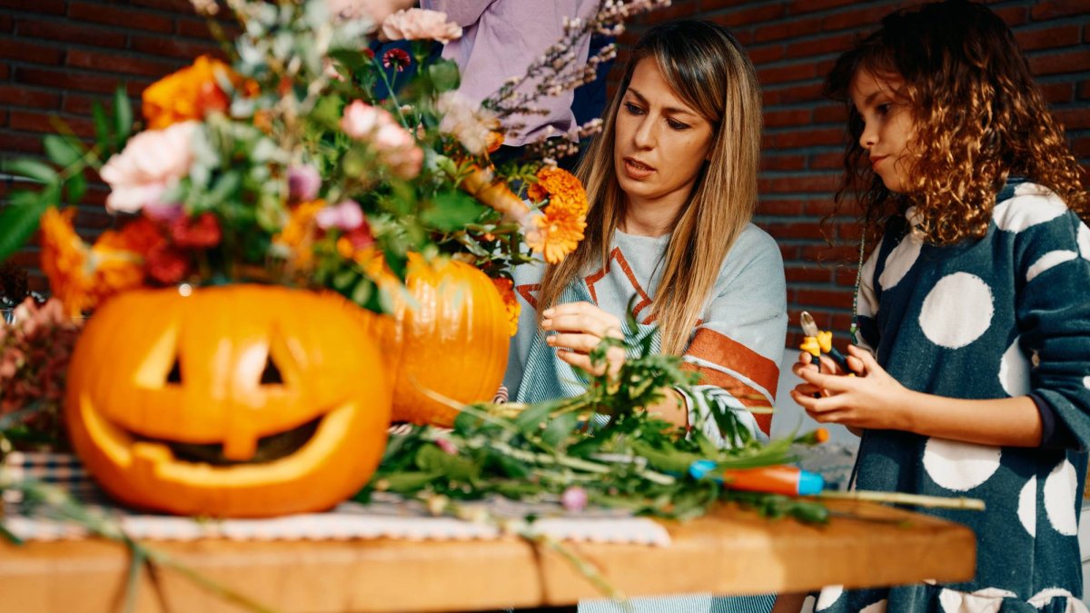 Adiós calabazas: llega a Lidl la planta más bonita para decorar Halloween por menos de lo que cuesta un café