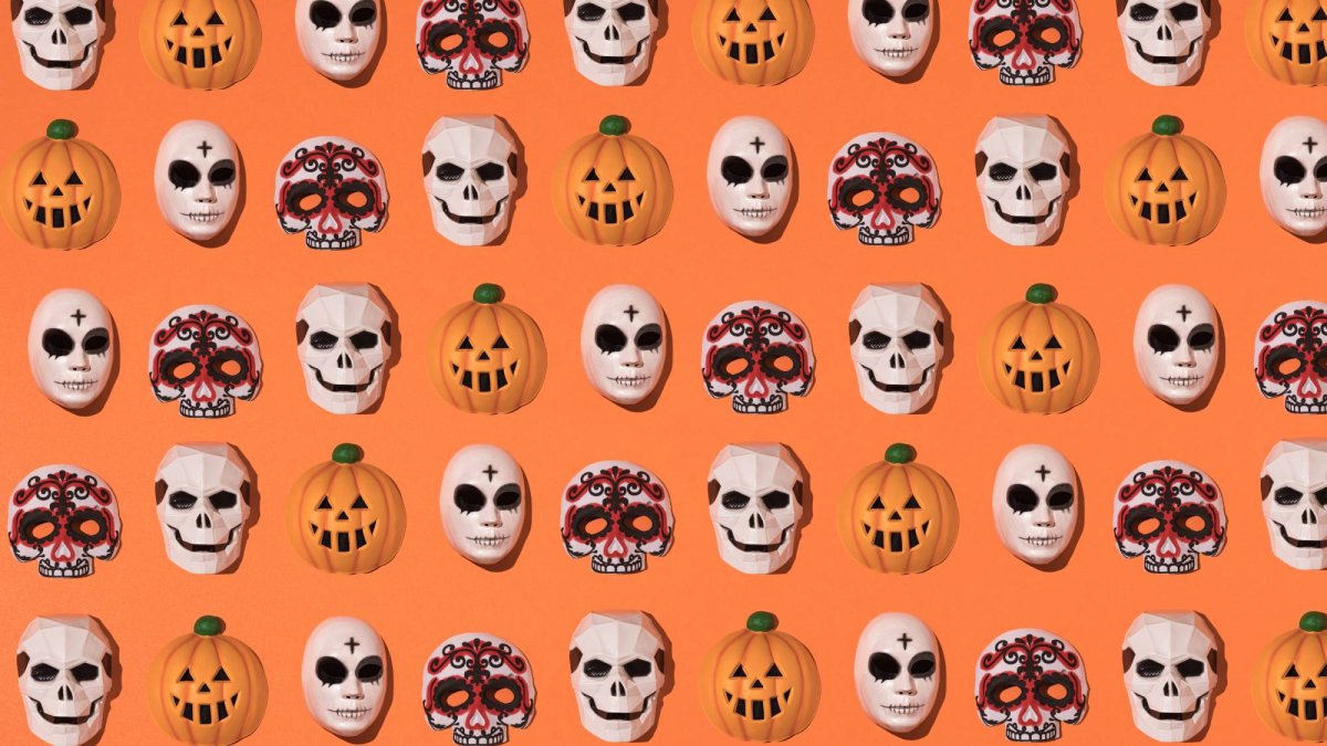 Mañana llegan a Lidl las suculentas con las macetas más bonitas que vas a ver este Halloween