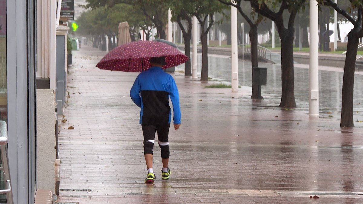 Una persona camina con paraguas en Gandia (Valencia) este viernes, en el episodio de alerta naranja por lluvias.

EUROPA PRESS TV
10/10/2025