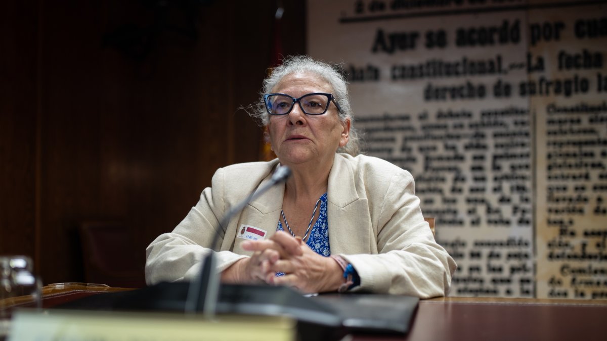 La empresaria María del Carmen Pano comparece en la comisión sobre el ‘caso Koldo’.