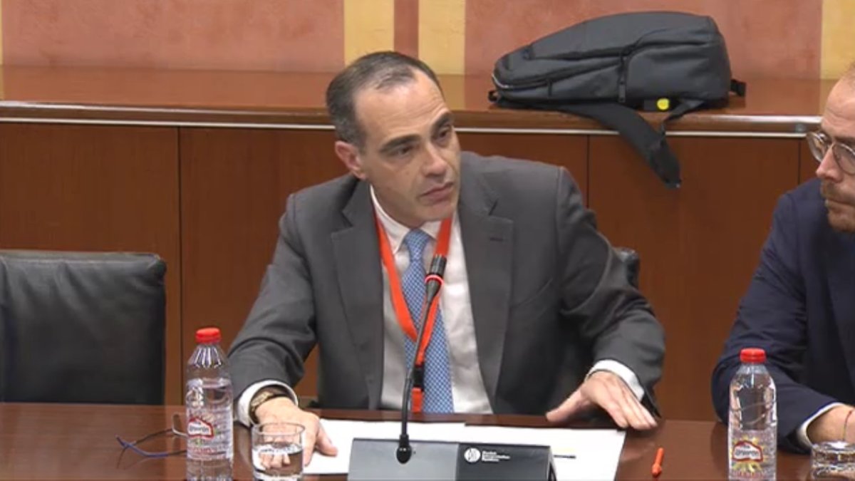 El director de la Fundación Alquiler Seguro, Alberto Alonso, en un momento de su intervención en el Parlamento de Andalucía