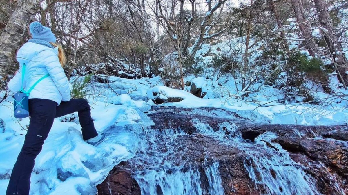 La Chorrera de Mojonavalle también se transforma en invierno: una estampa helada que merece la caminata.