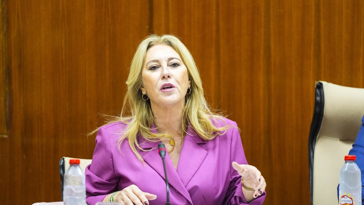 La consejera de Economía, Hacienda, Fondos Europeos y Diálogo Social, Carolina España, este viernes en comisión del Parlamento.