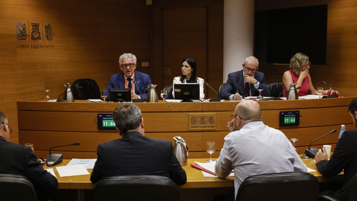 Una imagen de la comisión de investigación sobre la dana en Les Corts Valencianes.