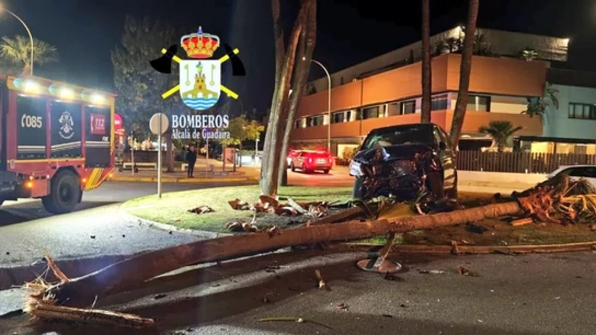 El automóvil de Cayetano Rivera, destrozado tras el accidente