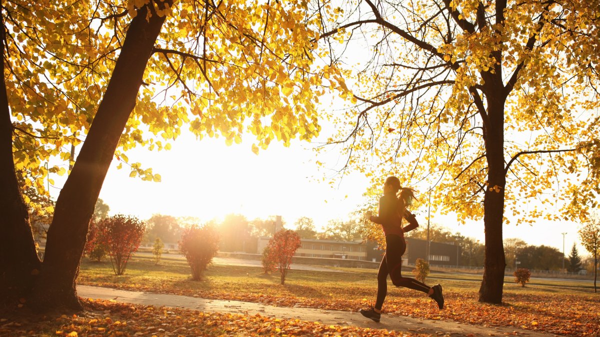 La salud se pone a prueba en otoño