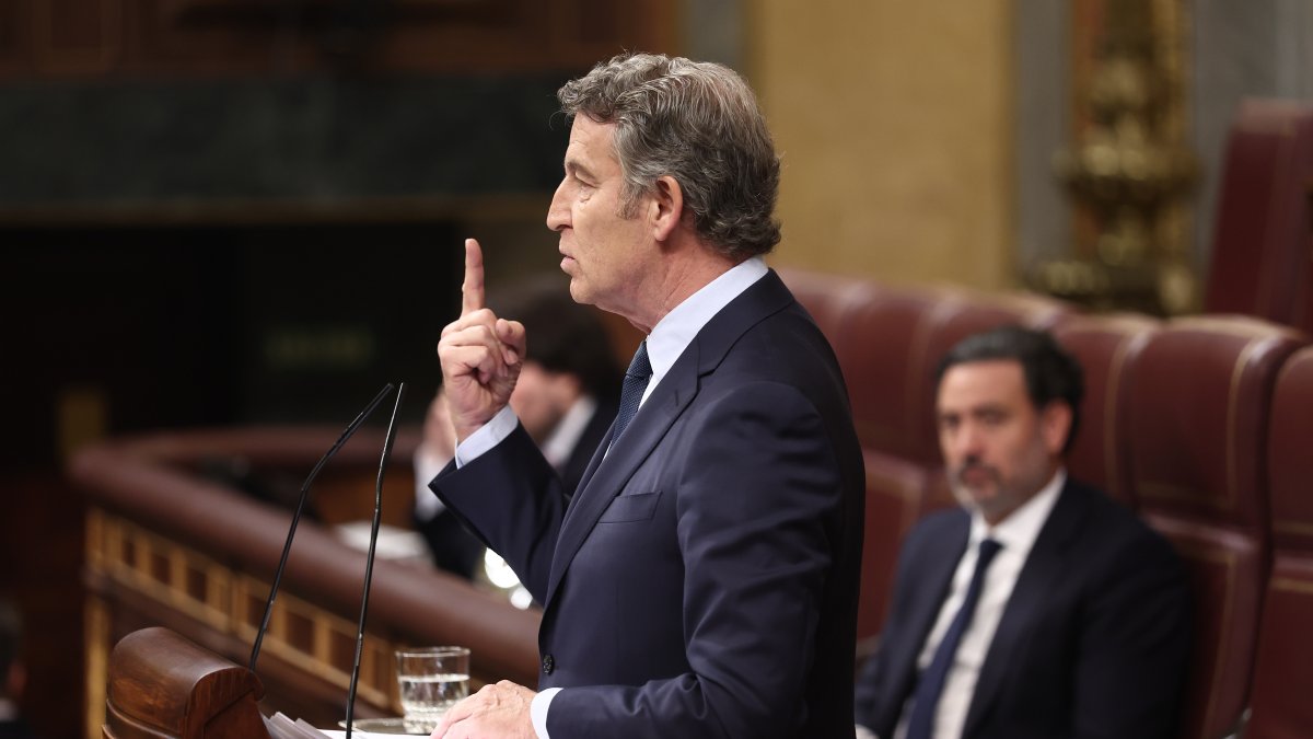 El presidente del PP, Alberto Núñez Feijóo, interviene en el Congreso