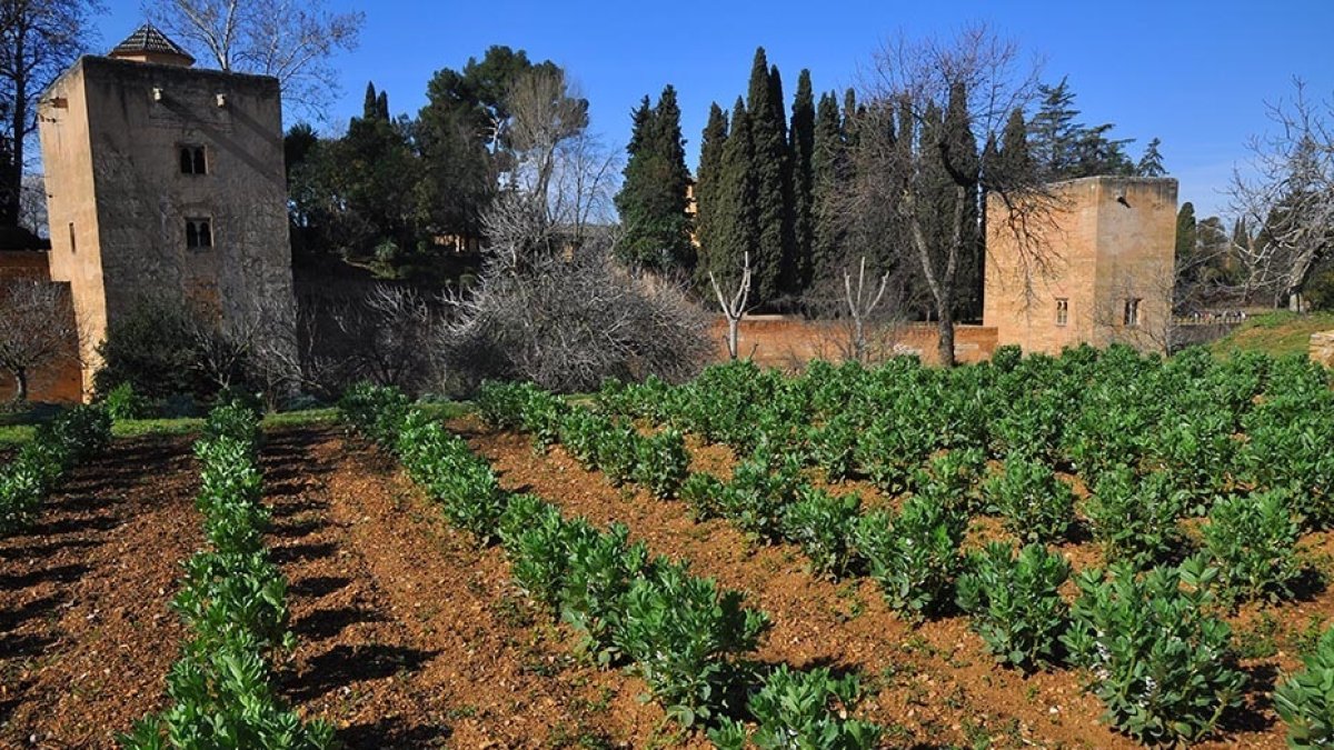 Huertas del Generalife
R