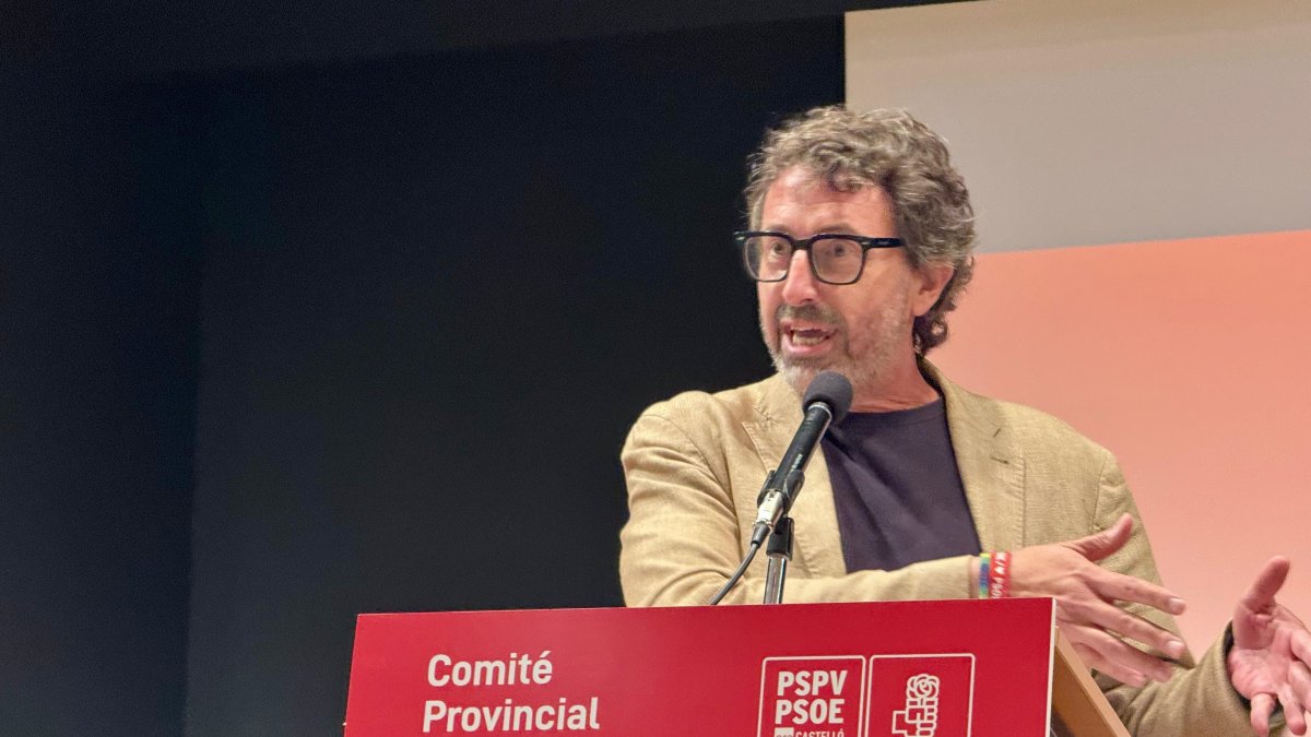 El secretario de Organización del PSPV-PSOE, Vicent Mascarell