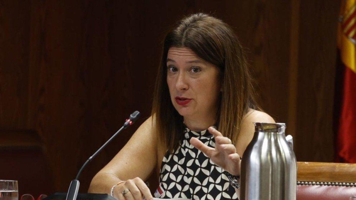Leire Díez comparece ante el Senado