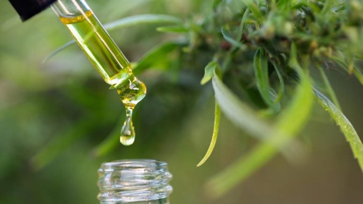 El CBD: Una Revolución en el Sector del Bienestar