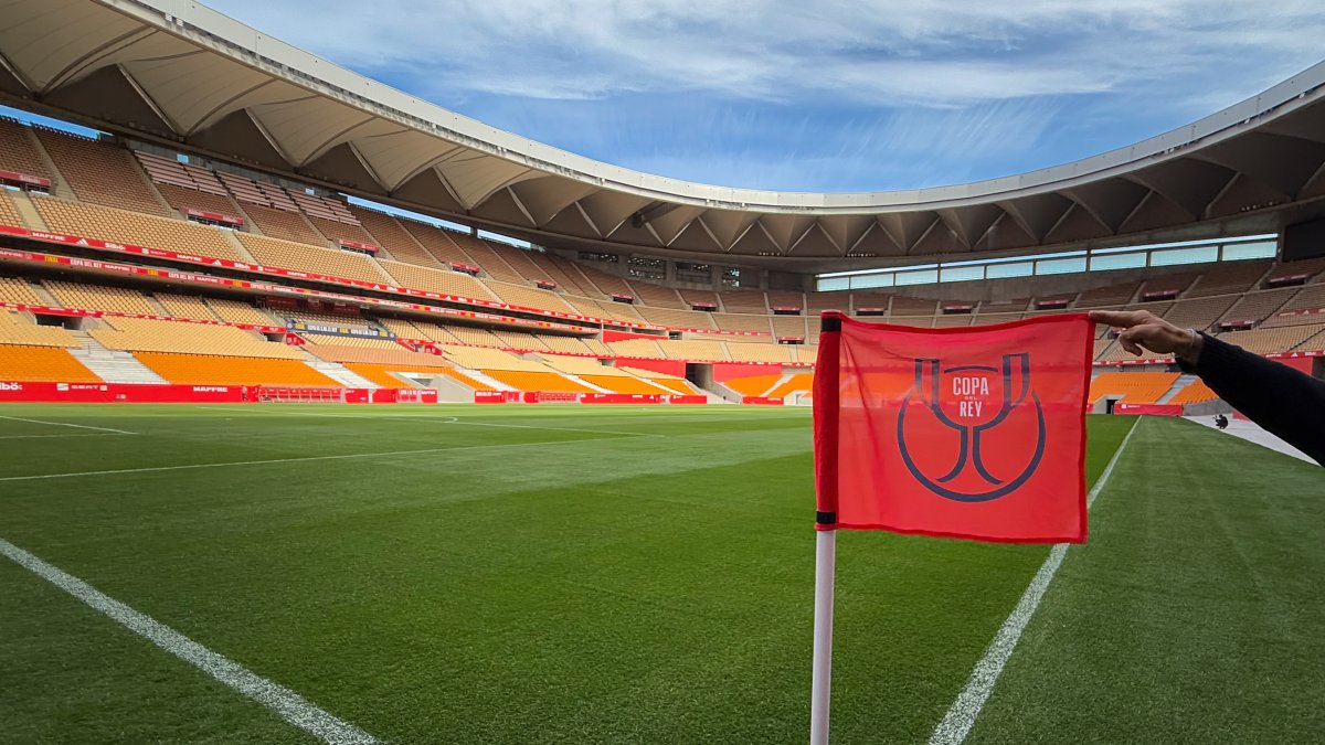 Detalle del Estadio de la Cartuja de Sevilla.