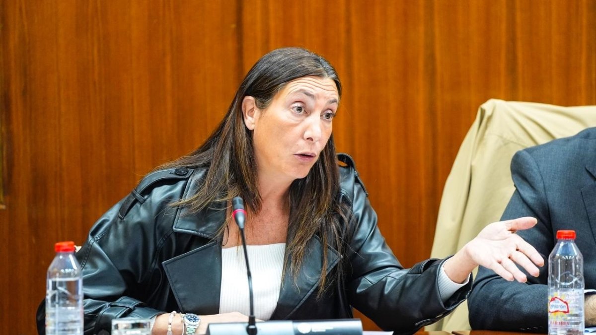 La consejera de Inclusión Social, Igualdad y Familias de la Junta de Andaucía, Loles López.