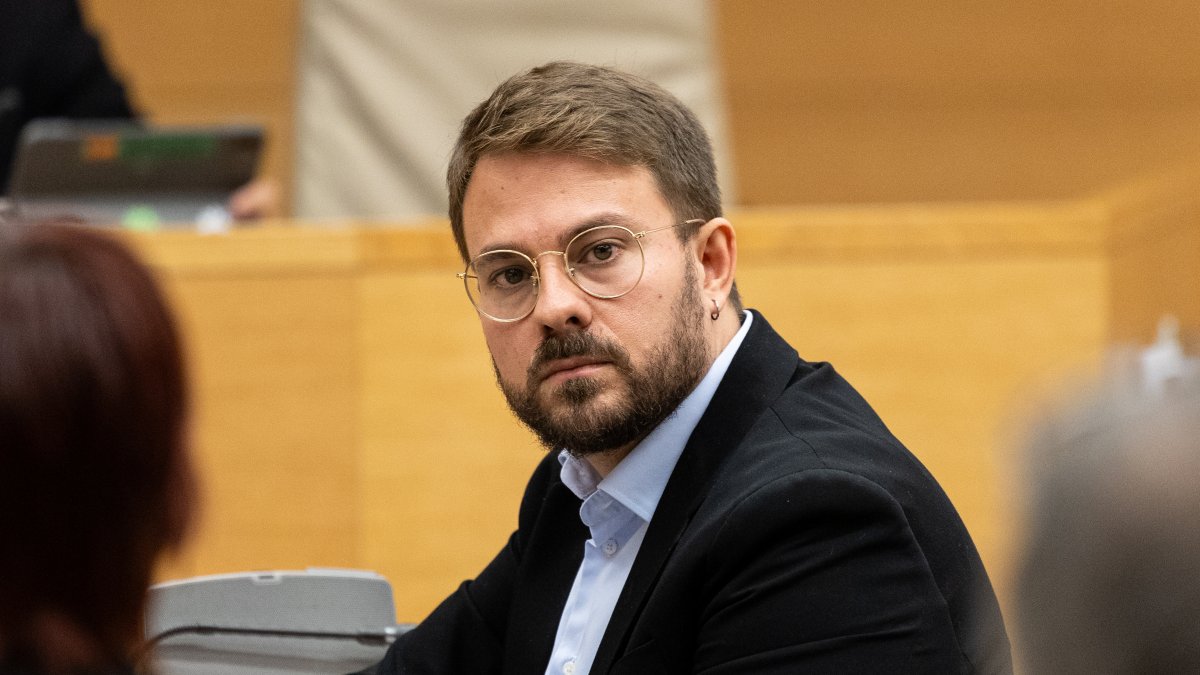 El diputado de Compromís, Alberto Ibáñez.