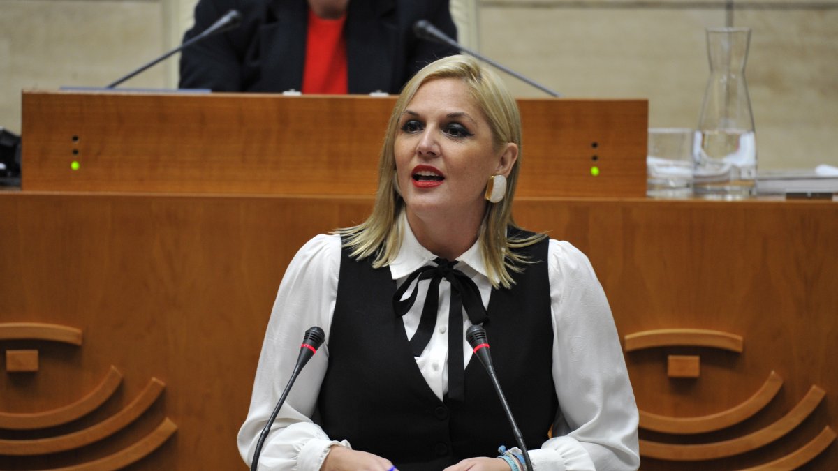 La consejera de Hacienda y Administración Pública, Elena Manzano. EuropaPress 