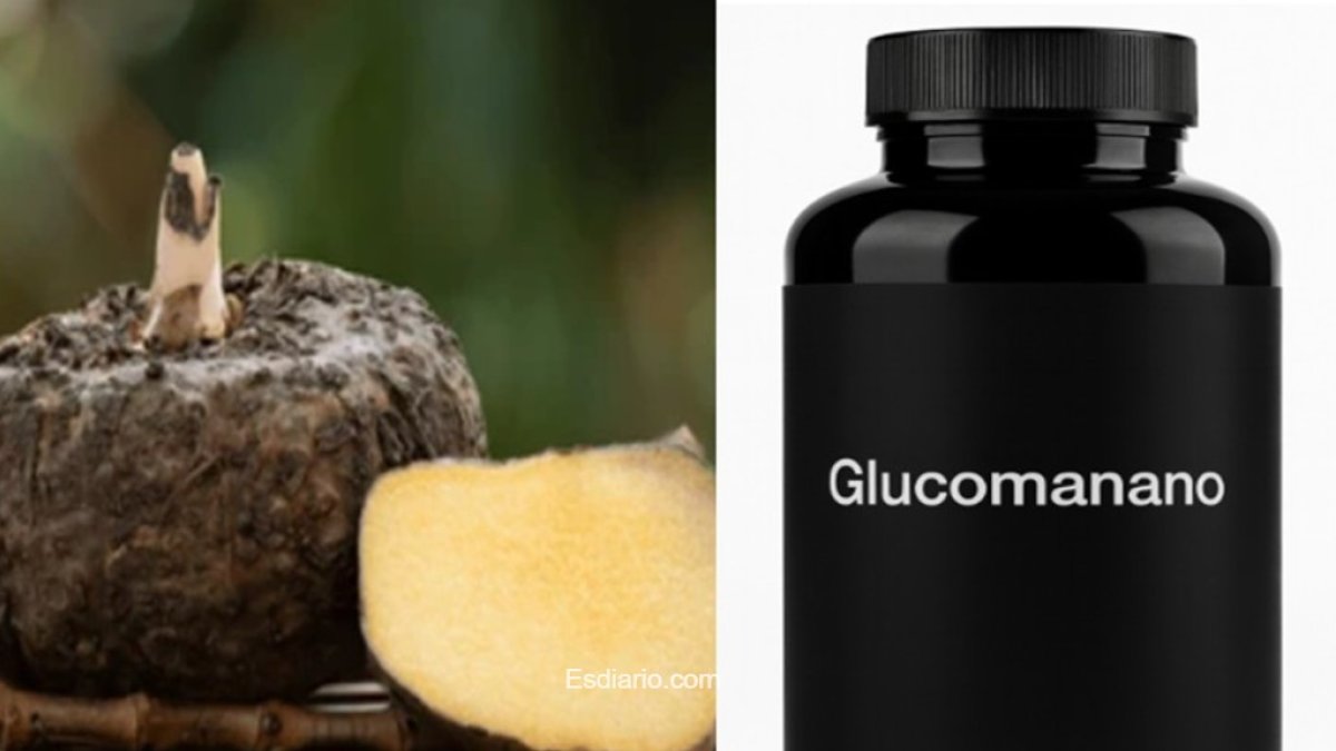 Planta konjac de donde procede el glucomanano