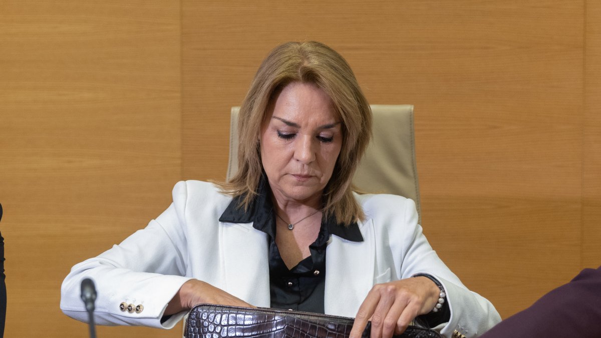 La vicepresidenta del Consell i Consellera de Servicios Sociales, Igualdad y Vivienda de la Generalitat Valenciana, Susana Camarero Benítez.
