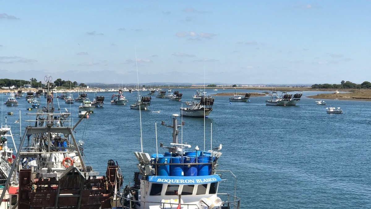 Cierra la pesquería de la sardina para la flota de Punta Umbría al agotarse la cuota, que es insuficiente.
12/6/2018