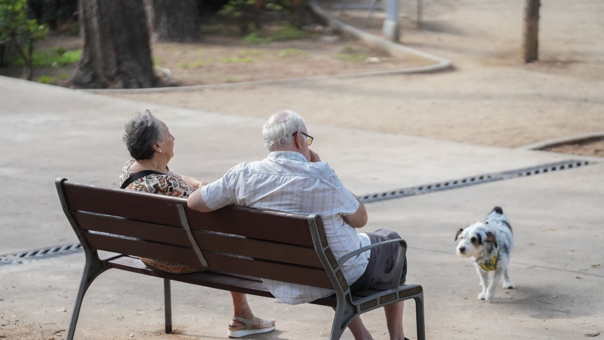 Dos personas y un perro, a 17 de septiembre de 2025, en Barcelona, Catalunya (España).
David Zorrakino / Europa Press
17 SEPTIEMBRE 2025