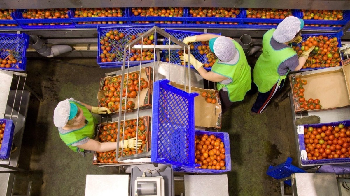 Trabajadoras en Almería, Andalucía.