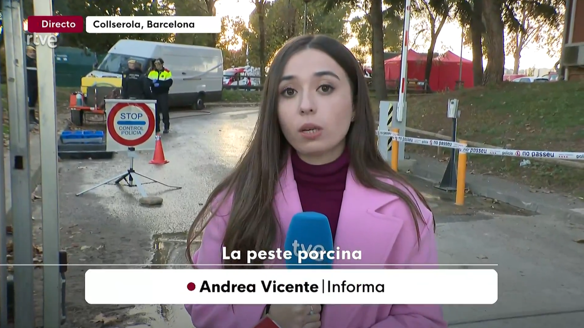 La peste porcina en Cataluña