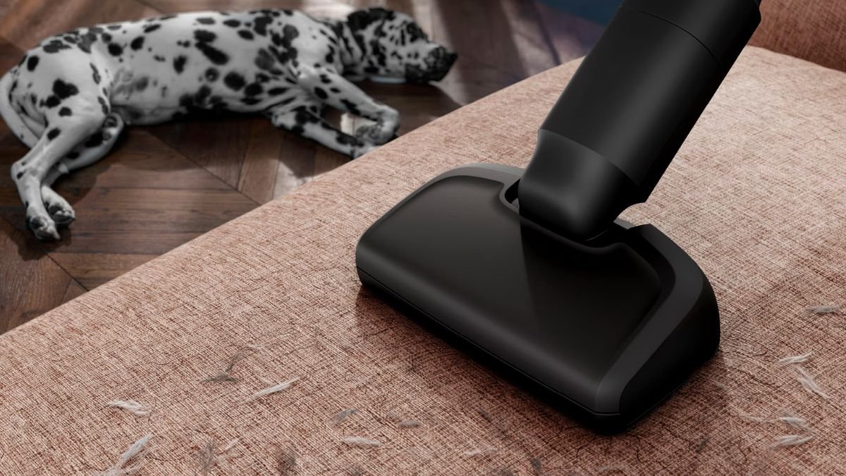 Aspiradora sin cable AEG Serie 6000 Animal