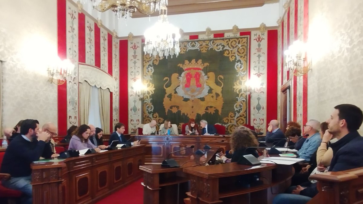 El consejo está formado por representantes de entidades, del Ayuntamiento de Alicante y de las consellerias de Bienestar Social y Sanidad.
