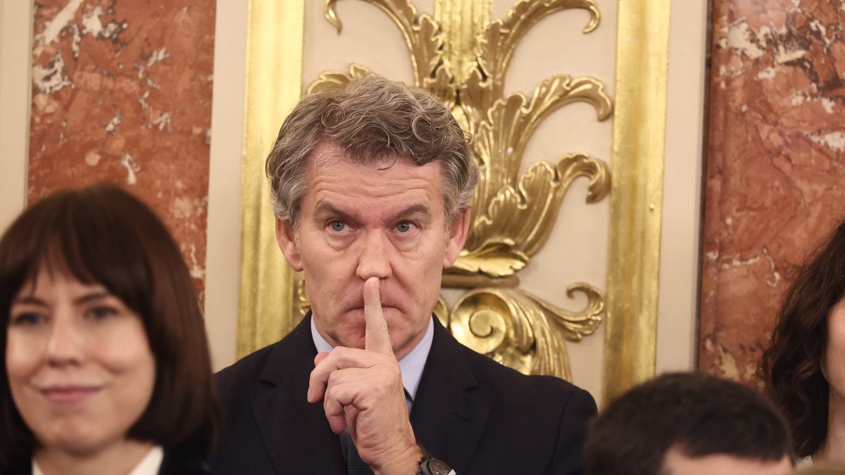 El presidente del PP, Alberto Núñez Feijóo, en el Día de la Constitución