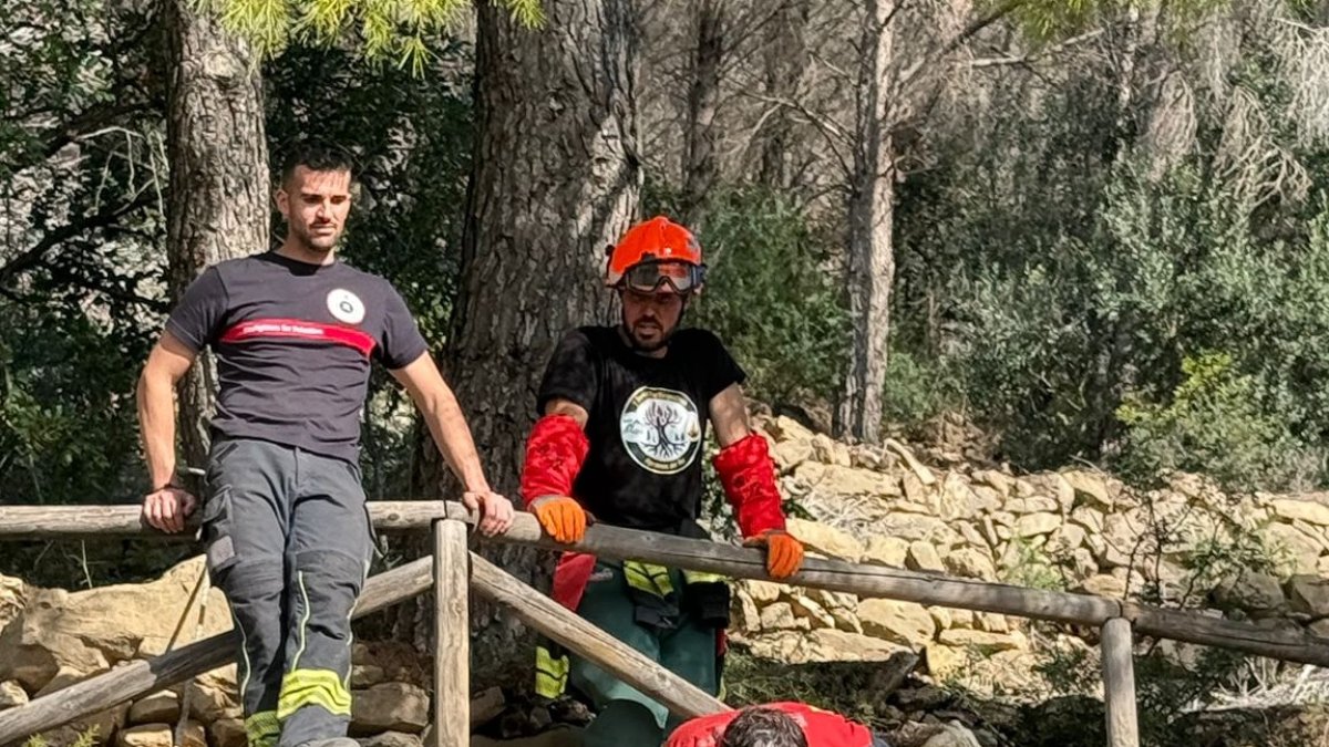 Bomberos voluntarios en el operativo de limpieza forestal.