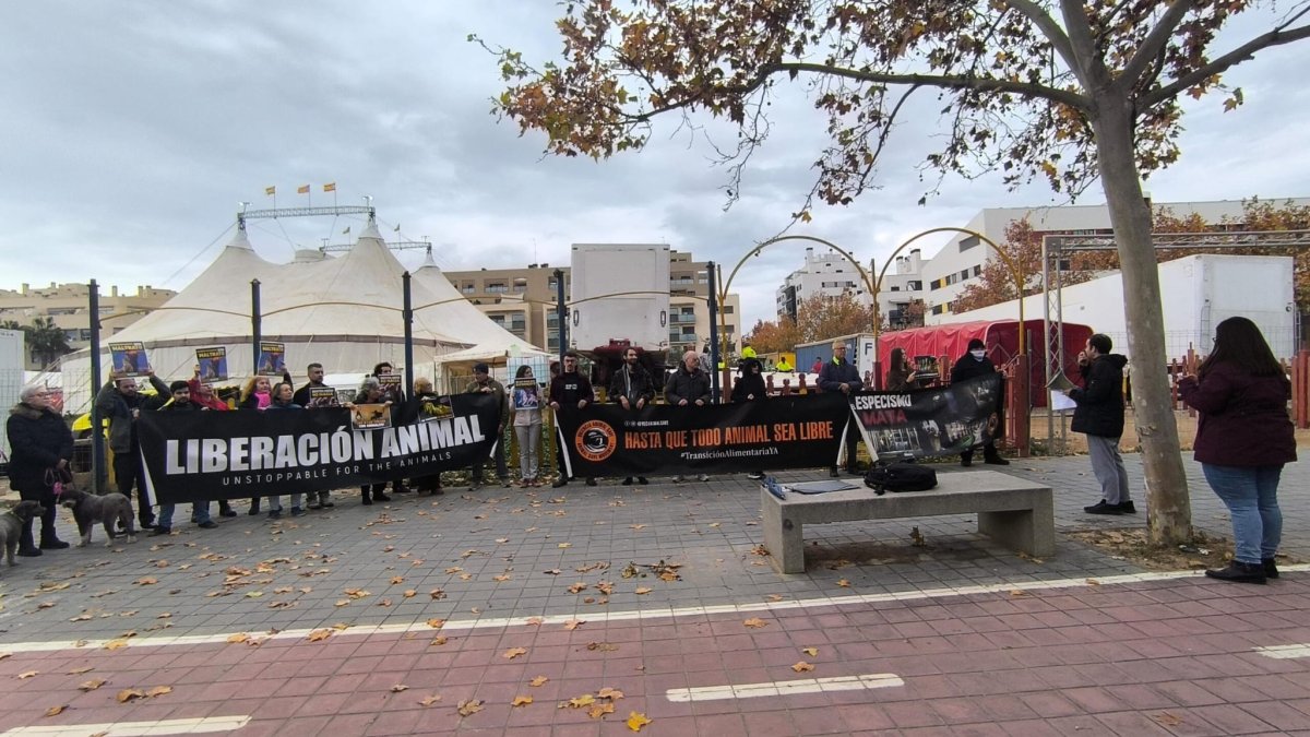 Animalistas protestan ante el Circ de Nadal