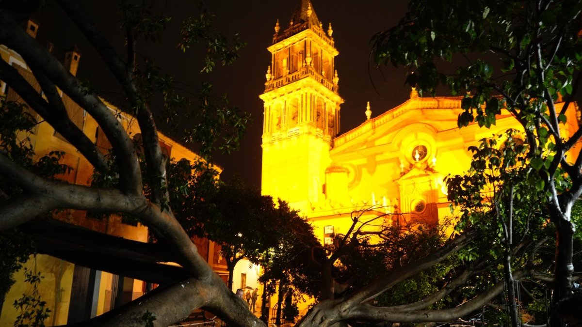 Ficus de la Plazuela de Santa Ana de Sevilla afectado por el paso de la tormenta.