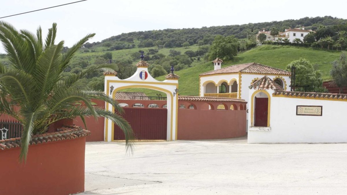 Finca Ambiciones.