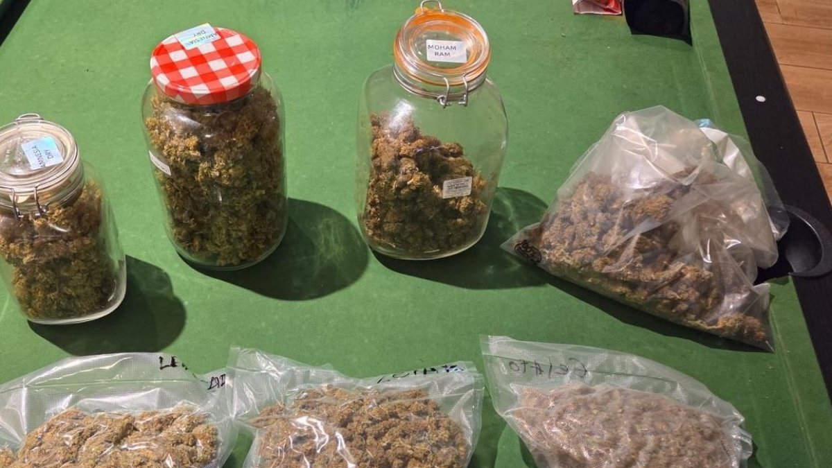 Sustancias intervenidas por la Policía Nacional en la asociación de Denia.