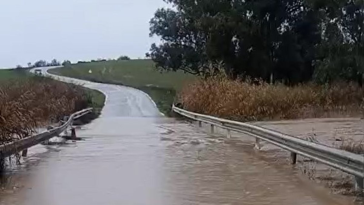Corte de la CA-6105 por balsas de agua en la Sierra de Cádiz tras el paso de la borrasca Francis.
