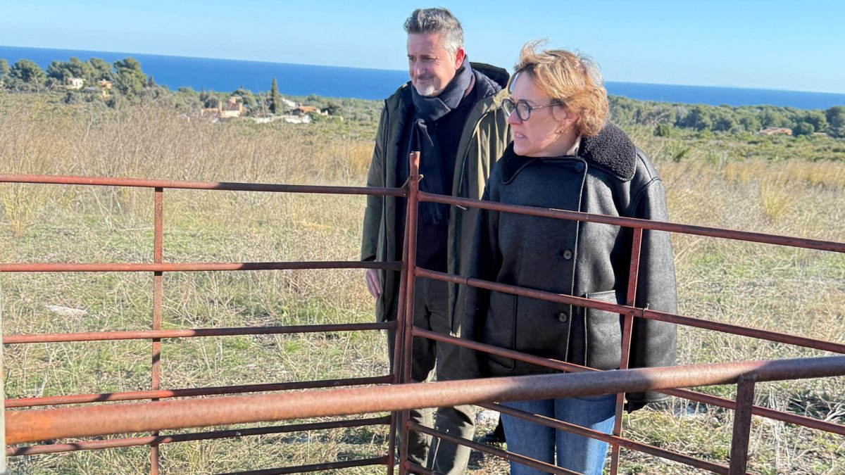 La alcaldesa de Xàbia, Rosa Cardona, observa algunas de las cabras en la Plana del Montgó.