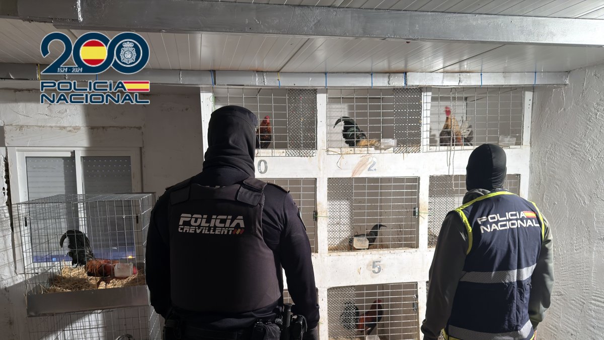 Agentes de la Policia Nacional en el momento del registro de la vivienda.