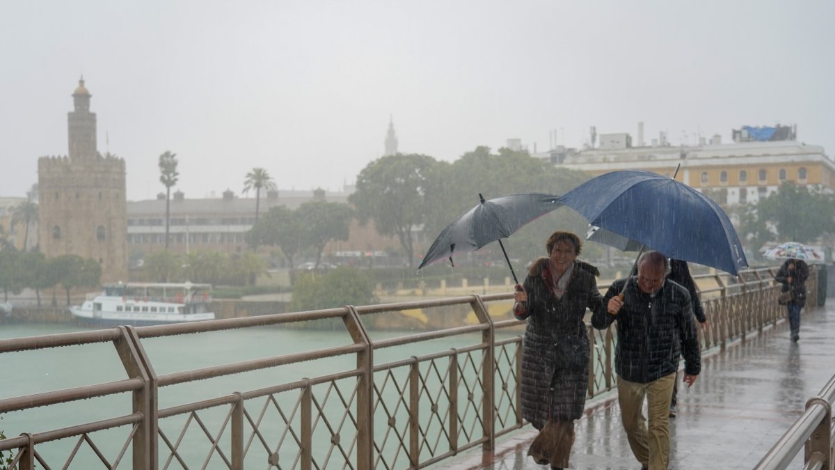 Peatones bajo la lluvia en Sevilla.
Eduardo Briones / Europa Press
23 noviembre 2019
22/11/2019