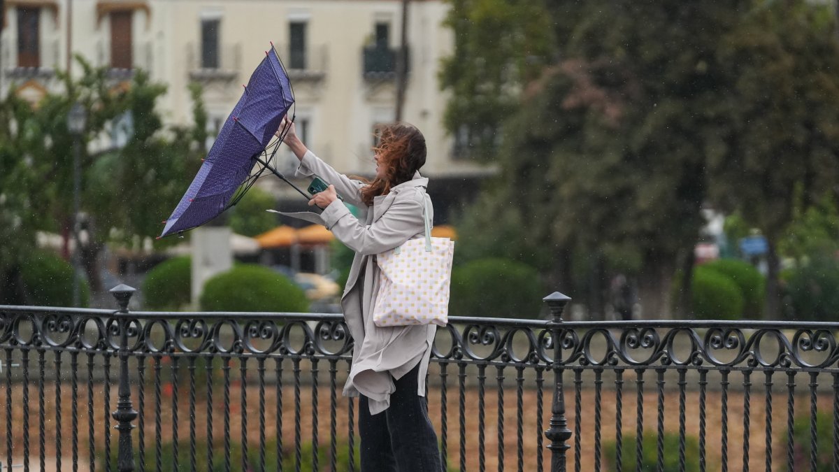 Jornada de lluvia y viento en Sevilla.
