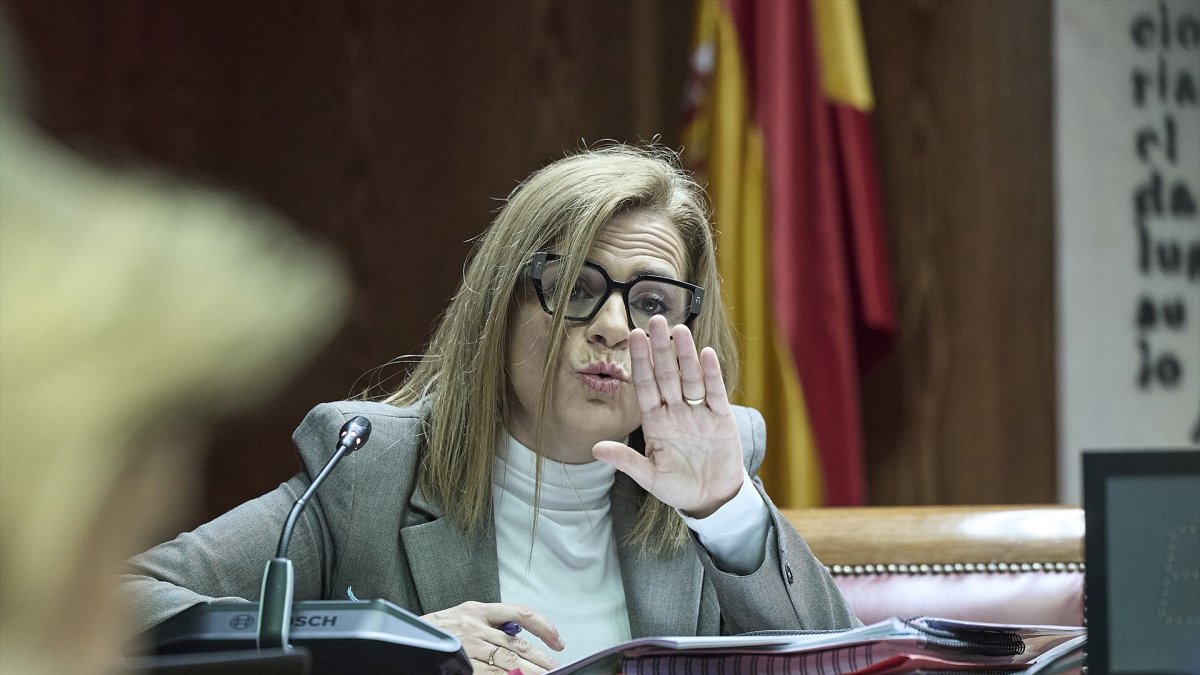 La delegada del Gobierno en la Comunidad Valenciana, Pilar Bernabé García, comparece ante la Comisión de Investigación de la dana del pasado 29 de octubre de 2024, en el Senado