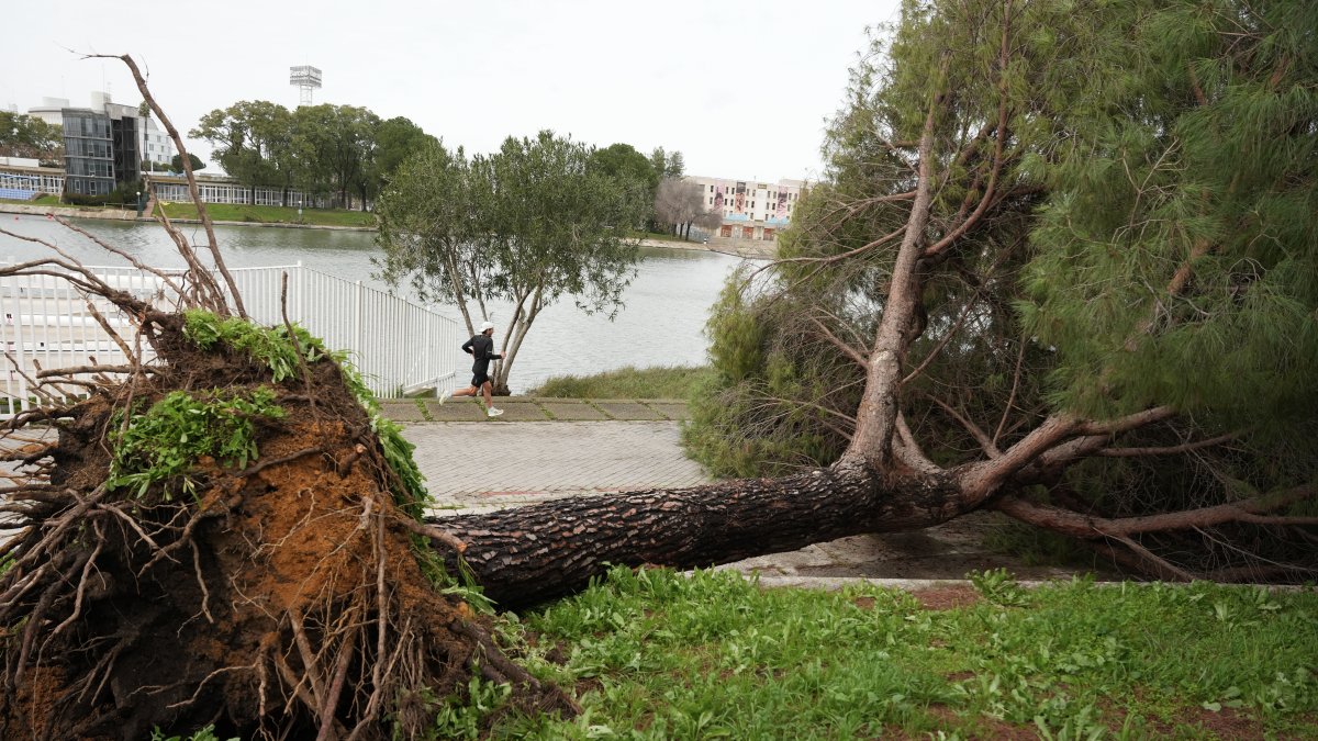 Efectos del viento en Sevilla.