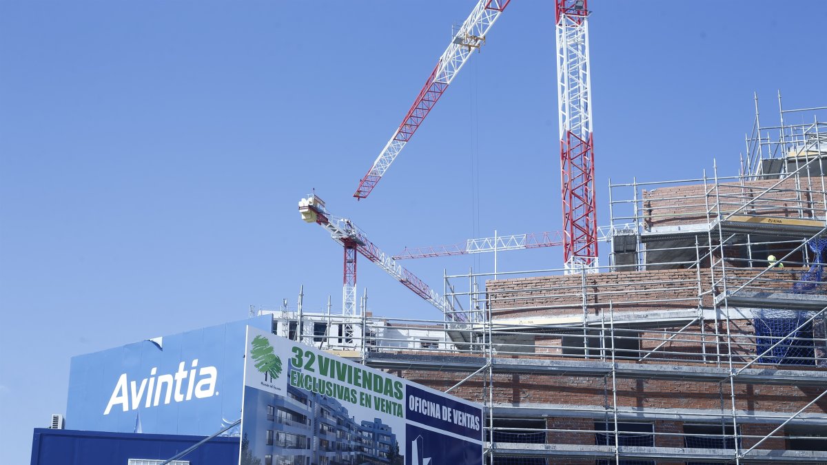 Grúas de construcción afrontando una nueva promoción. 
EUROPA PRESS
01/3/2017