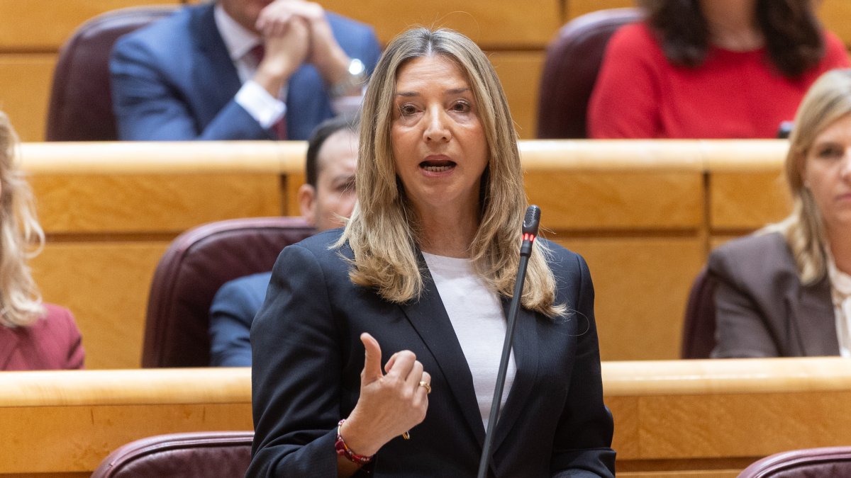 La portavoz del PP en el Senado, Alicia García, durante el pleno extraordinario sobre el caos ferroviario, en el Senado.