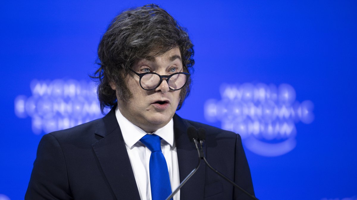 El presidente de Argentina, Javier Milei, en Davos. GIAN EHRENZELLEREFE