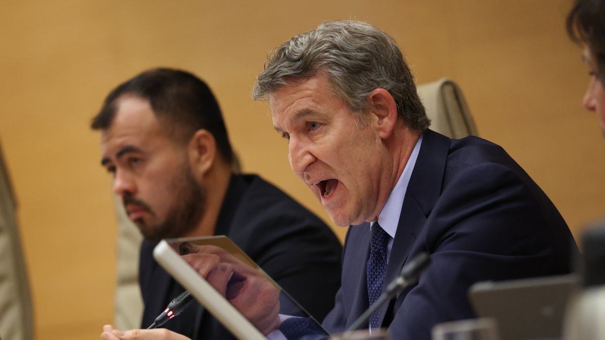El presidente del PP, Alberto Nuñez Feijóo, comparece en la Comisión de investigación de la Dana en el Congreso.