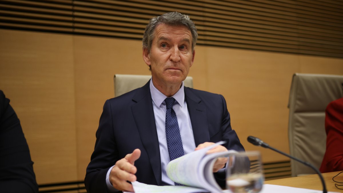 El presidente del PP, Alberto Nuñez Feijóo, comparece en la Comisión de investigación de la Dana, en el Congreso de los Diputados, a 2 de febrero de 2026, en Madrid (España). 02/2/2026