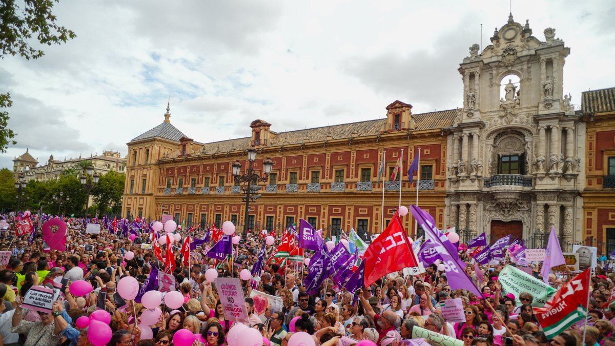Imágenes de la concentración convocada por la asociación Amama frente a San Telmo en el pasado mes de octubre.