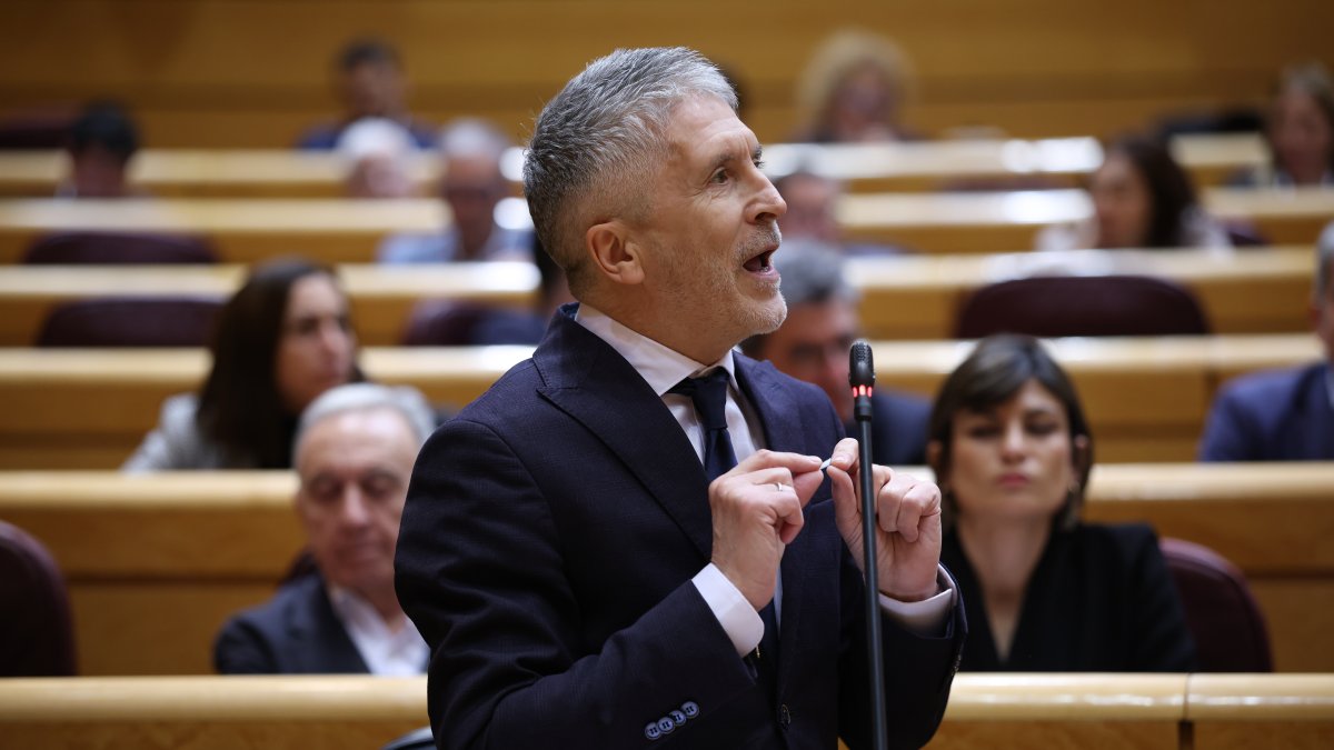 El ministro del Interior, Fernando Grande-Marlaska, en su intervención durante una sesión plenaria en el Senado.
