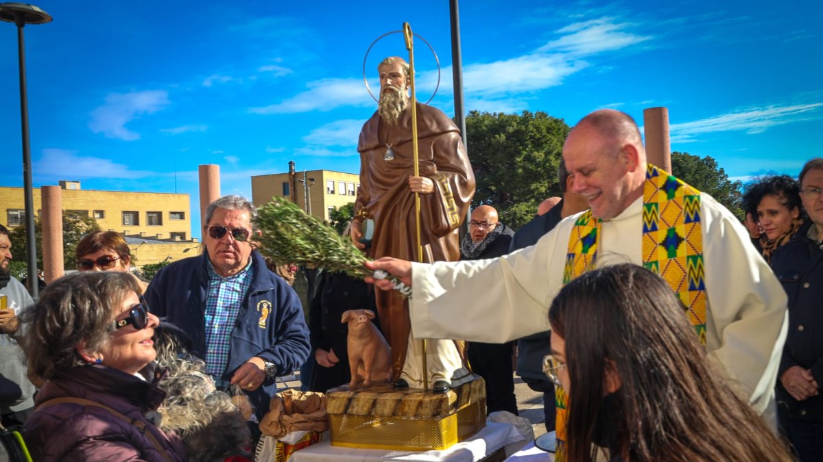 Acto de bendición de los animales este domingo en Torrent.