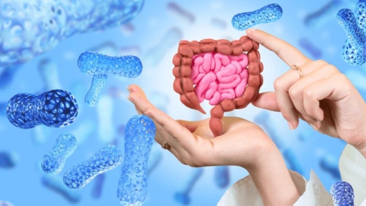 Microbiota intestinal